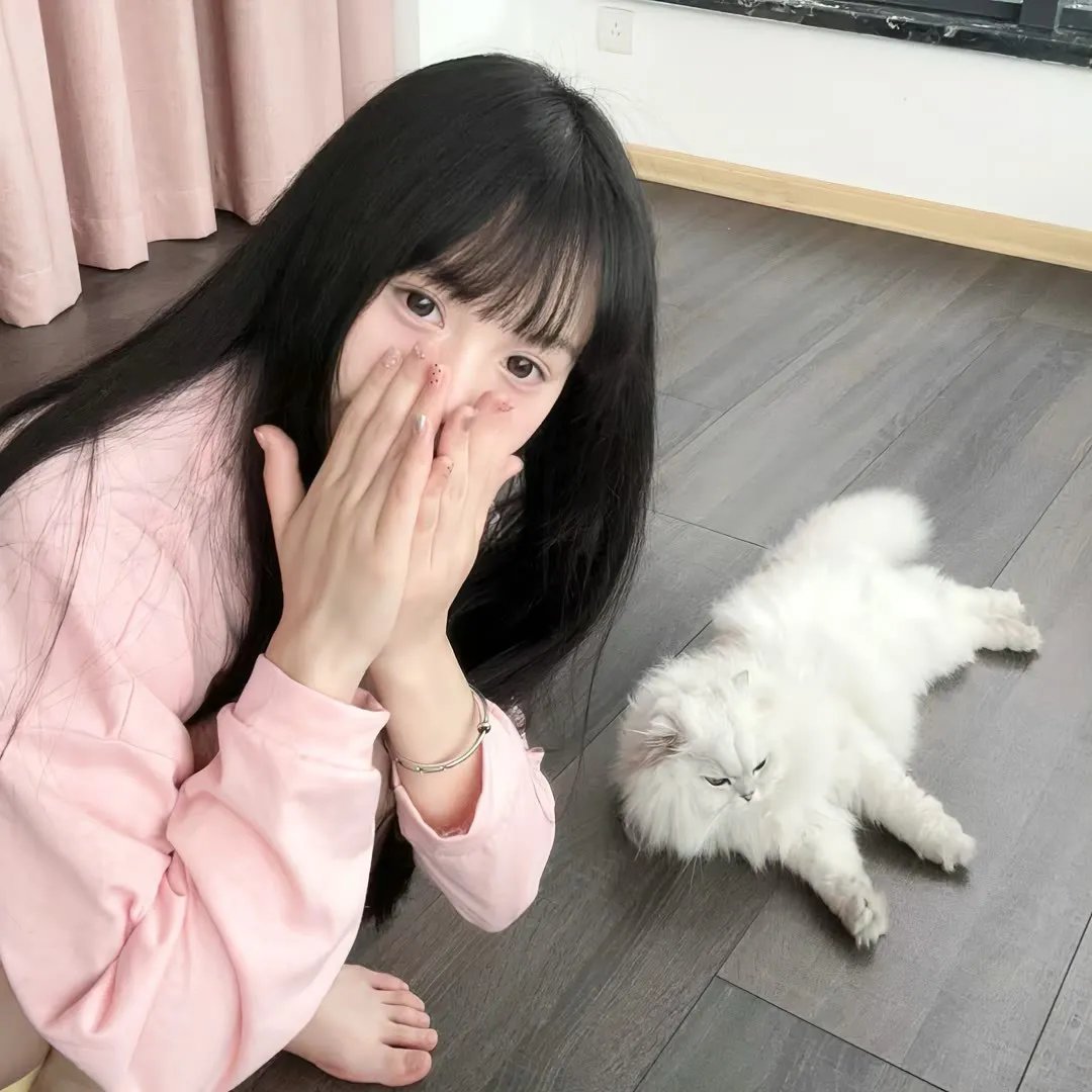 吉姆科学秀